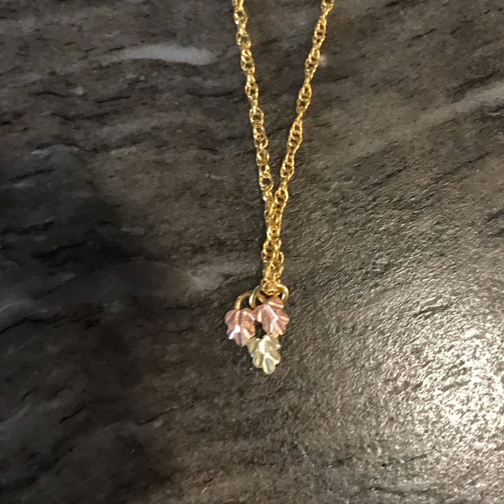 Black hills gold necklace